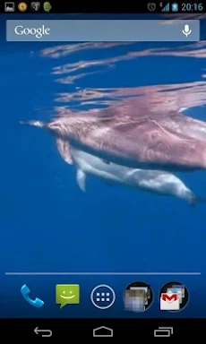 Dolphins 3D. Live Wallpaper. screenshots