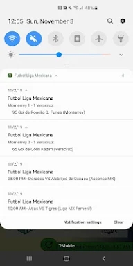 SoccerLair Mexican Leagues screenshots