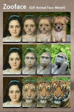 Zooface - GIF Animal Morph screenshots