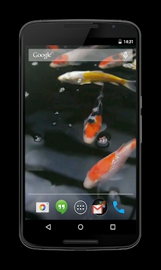 Koi Video Live Wallpaper screenshots