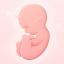 My Pregnancy - Baby Tracker icon