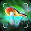 Mushroom Identifier - Picture Mushroom icon