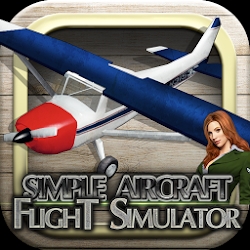 Cessna 3D flight simulator