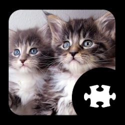 Cats & Kitten Puzzle