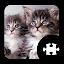 Cats & Kitten Puzzle icon