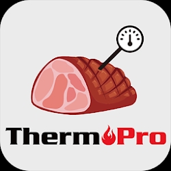 ThermoPro BBQ